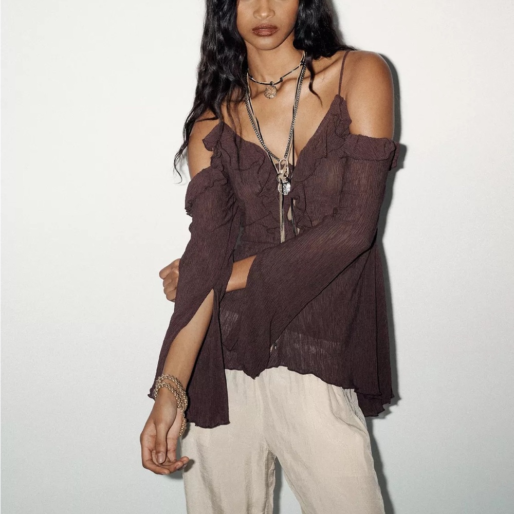 Zara Brown Ruffle Off-Shoulder Blouse